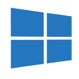Windows 10/11 Pro premium account